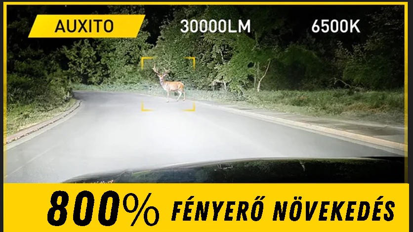 - Royal Tuning autó és motoros kiegészítő webshop